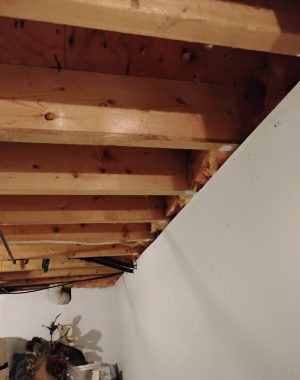 IMG_20260224_113543608